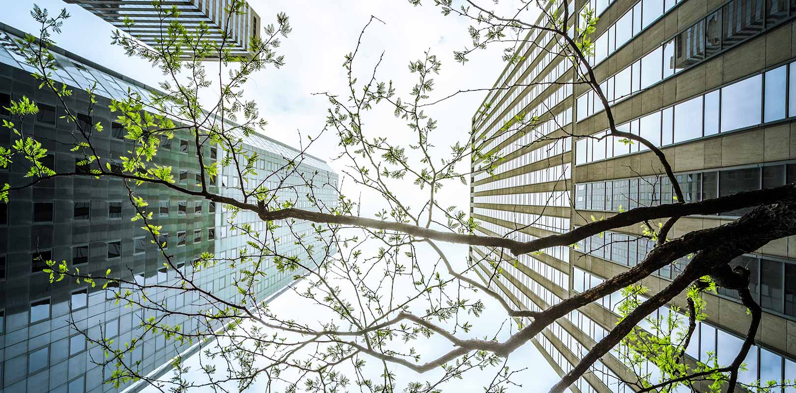 corporate-responsibility